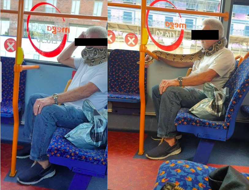 Άνδρας στην Αγγλία μπήκε σε λεωφορείο με ένα…φίδι αντί για μάσκα