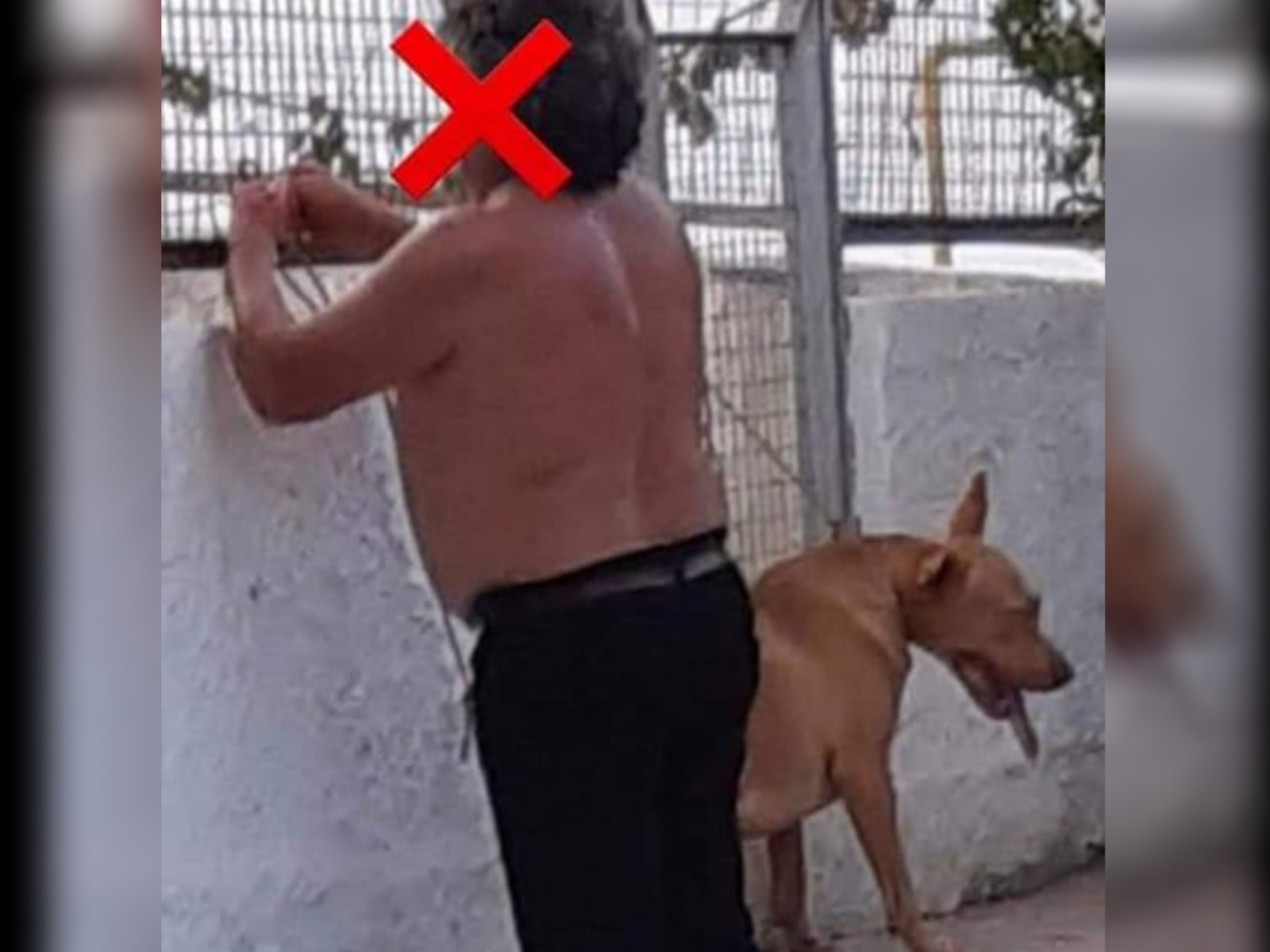 Κρήτη: Έκοψε τους όρχεις του σκύλου του με ψαλίδι – Η τοποθέτηση του Παναγιώτη Μήλα