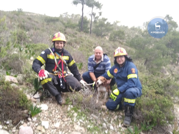 Ρόδος: Επιχείρηση διάσωσης ενός σκύλου που έπεσε σε απότομη χαράδρα