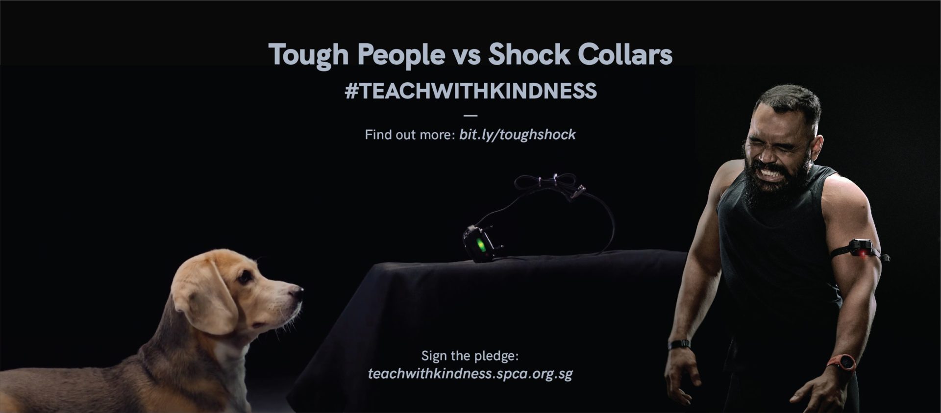 Αθλητές φορούν κολάρα ηλεκτροσόκ για σκύλους – Δείτε την καμπάνια του SPCA (Video)