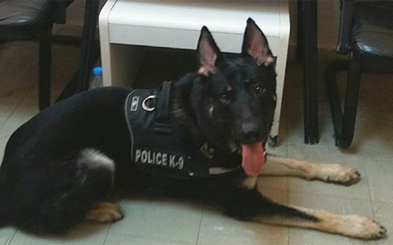 Θεσσαλονίκη: Ο αστυνομικός σκύλος «Ακύλας» “ξετρύπωσε” δύο διακινητές ναρκωτικών