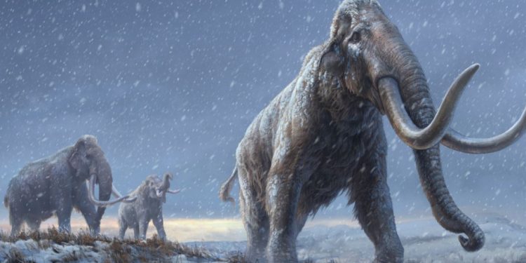 Σιβηρία: Βρέθηκε το αρχαιότερο DNA στον κόσμο σε απομεινάρια μαμούθ (βίντεο)