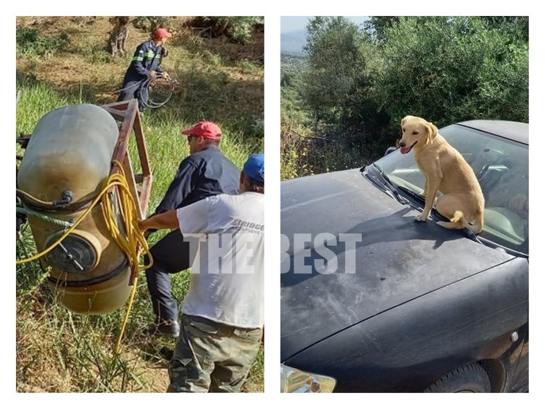 Αχαϊα: Η στιγμή που ο σκύλος του τραυματισμένου αγρότη συγκίνησε τους πάντες